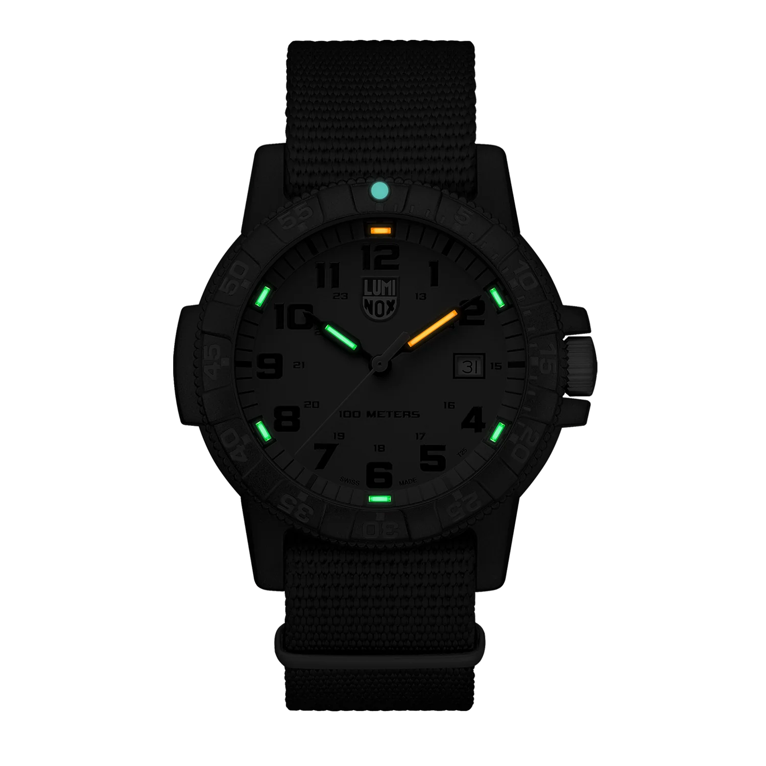 Luminox Leatherback Sea Turtle Giant Gents Watch