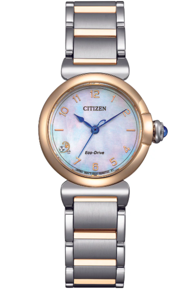 Citizen Ladies Eco-Drive Watch EM1136-87D
