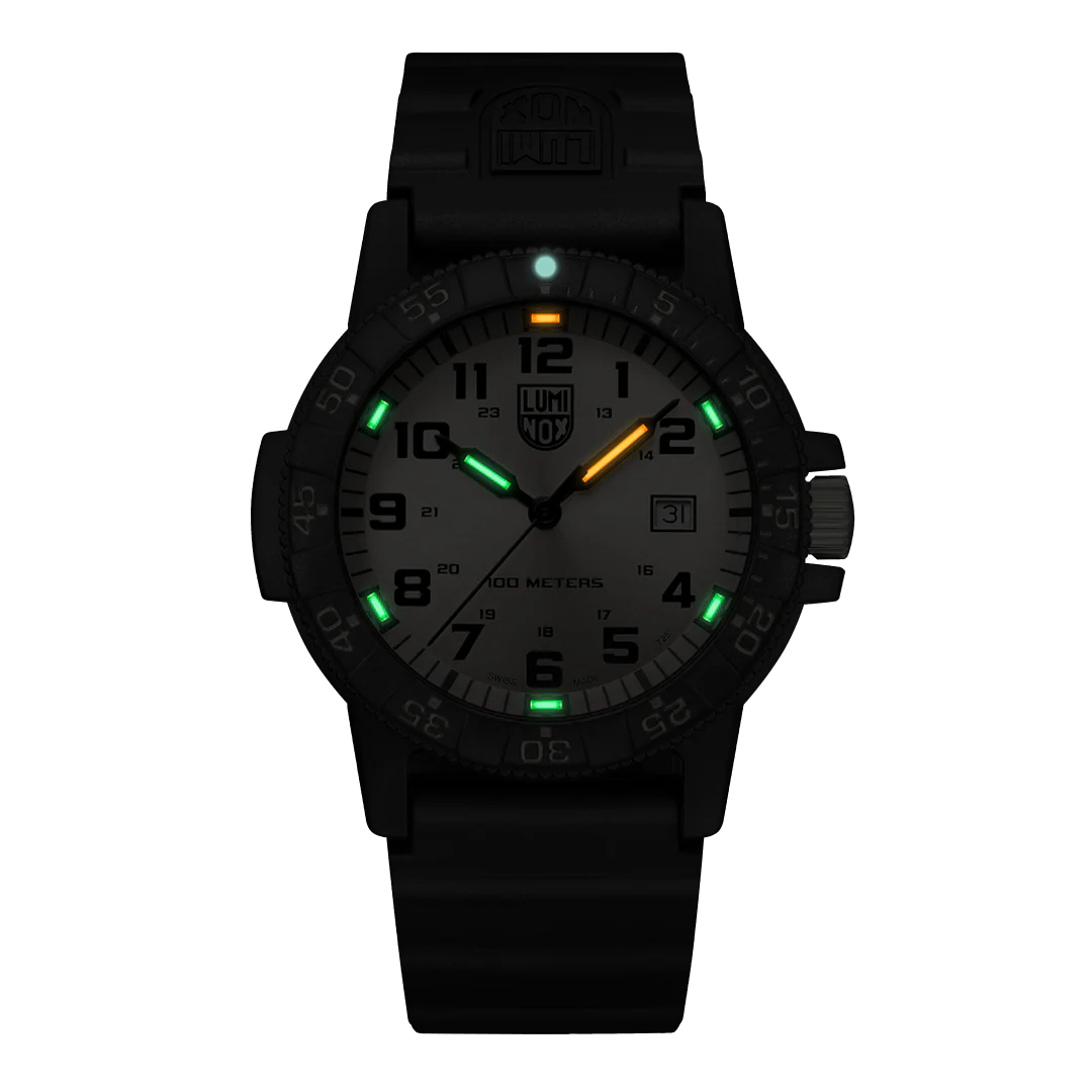 Luminox Leatherback Sea Turtle Giant Gold Edition Watch